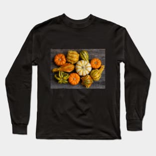 A Cornucopia of Autumn Color Long Sleeve T-Shirt